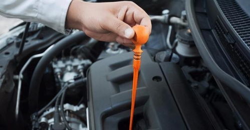 汽车保养能用多少机油