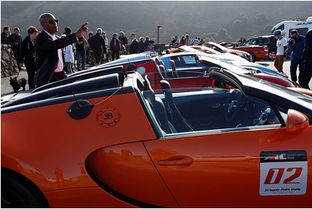 龙车拉多少辆汽车