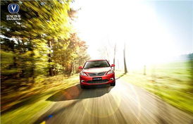 汽车安全测试最高多少