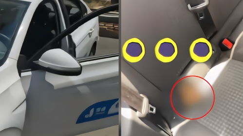 共享汽车开多少公里