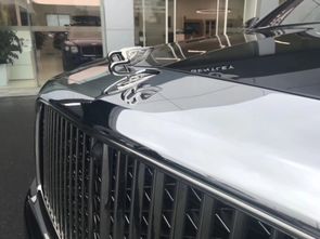 拉丝汽车 多少钱