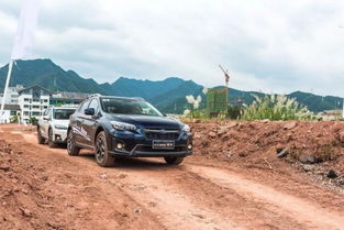 甘肃进口汽车总量多少 甘肃进口汽车总量多少