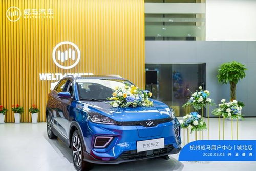 杭州有多少汽车用户