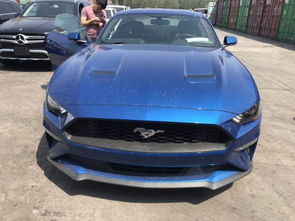 野马汽车绵阳报价多少