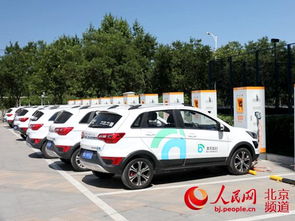 埃及共享汽车多少辆车