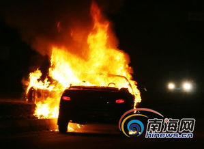 汽车起火有多少起