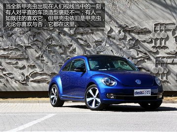 魔力汽车价格多少