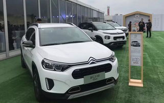 雪铁龙汽车粉丝有多少 雪铁龙汽车粉丝有多少