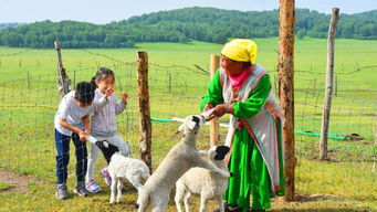 骑马比汽车快多少 骑马比汽车快多少