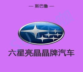 金字汽车多少钱