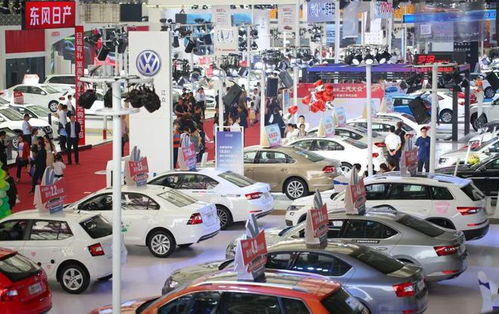 大鱼汽车多少钱