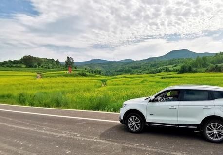 自动汽车有多少种