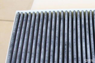 汽车滤芯分为多少种