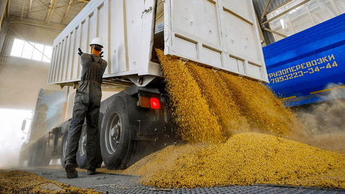 汽车能拉多少粮食 汽车能拉多少粮食