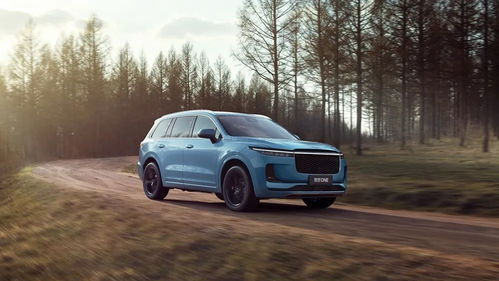 理想汽车有多少库存