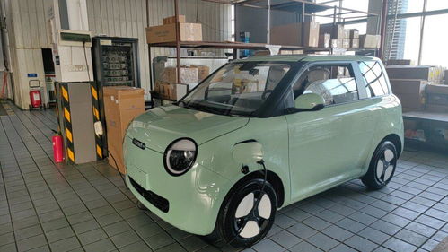 糯玉米汽车重量多少