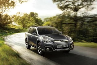 泰安每年汽车被盗多少