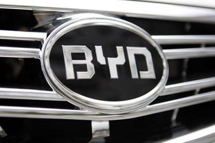 比亚迪汽车股票最高多少