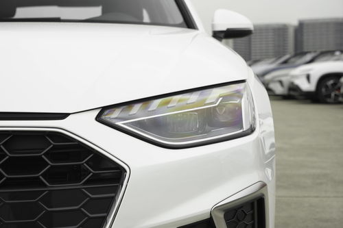 汽车拍牌价位多少