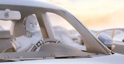 汽车支柱高度多少合适