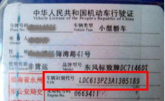 汽车识别代号是多少