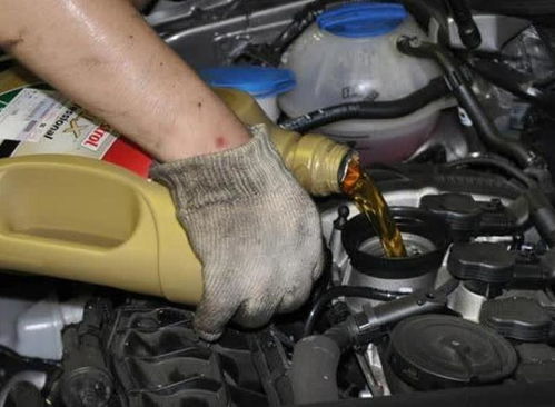 检查汽车机油多少正常