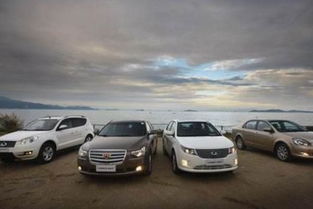 日本有汽车多少辆