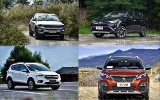 天涯汽车多少钱