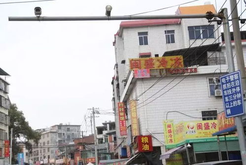 兴国汽车路段罚款多少