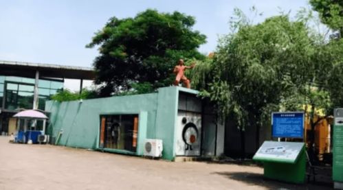 汽车弓片多少磅