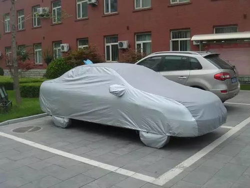 汽车可以放多少花