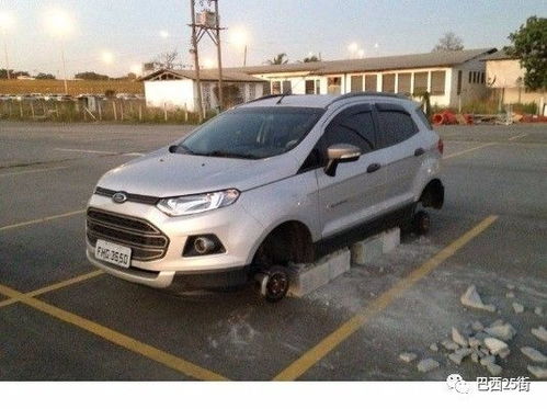 有多少辆汽车被偷