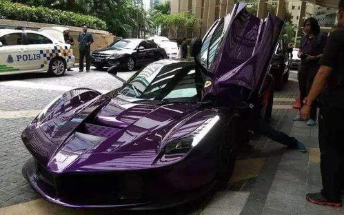 紫色汽车多少钱