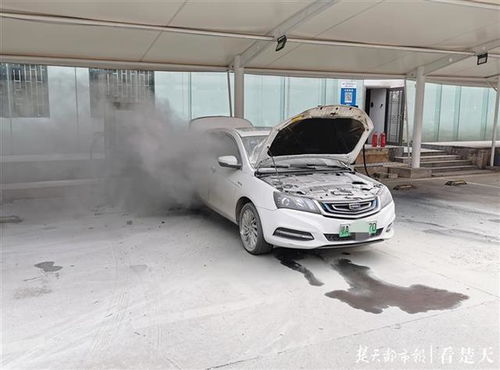 武汉充电汽车多少辆