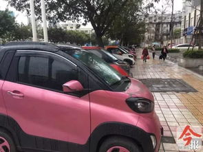 汽车人共有多少辆车 汽车人共有多少辆车