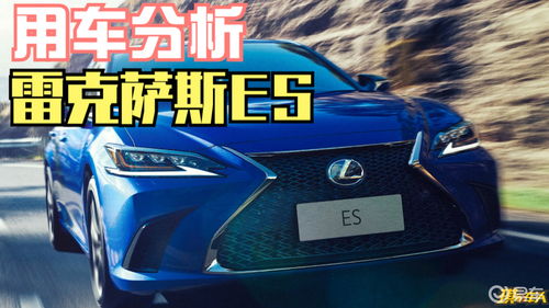 汽车每天剖析多少辆车