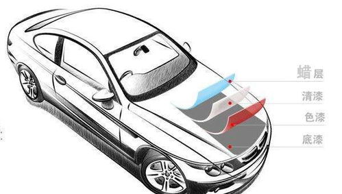 汽车打蜡盘价格多少 汽车打蜡盘价格多少