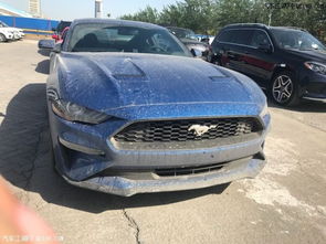 汽车奔马多少钱