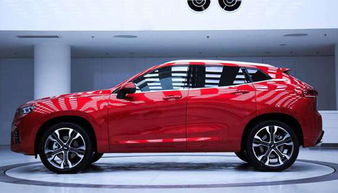 国产汽车多少牌子