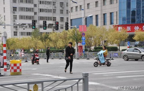 镇宁县有多少汽车