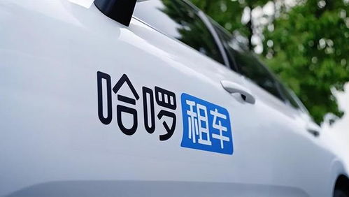 哈啰出行汽车多少座