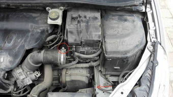 雪铁龙世嘉汽车电瓶多少