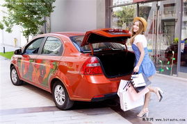 levi汽车多少钱 levi汽车多少钱