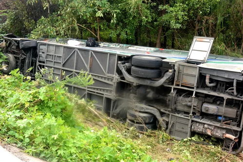 中卫至大靖汽车多少