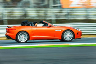 顶起汽车需要多少牛 顶起汽车需要多少牛