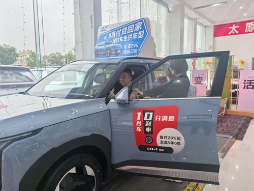 雷音汽车多少钱