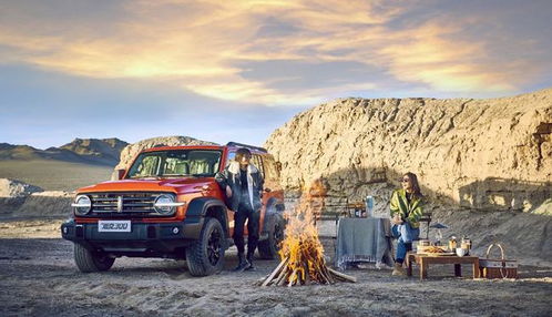 坦克汽车落地价多少