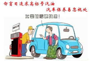 汽车加油标号多少最好