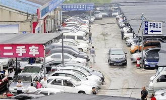 买辆汽车养多少公司