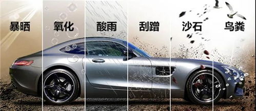 汽车分多少漆面